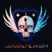 DarKFlaSH avatar