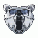 Lakosz avatar
