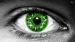 Green Eye avatar
