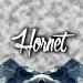 HornetYT avatar