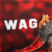 WaG91 avatar