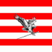 Wikroo avatar