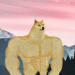 Chad The Doggo avatar
