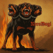 NeroDogi avatar