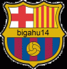 bigahu14 avatar