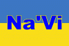 NaVi avatar