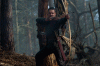 Robin Hood avatar