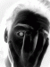 AnonimMC avatar