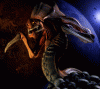 bozerg avatar