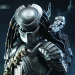 AVP_Predator avatar