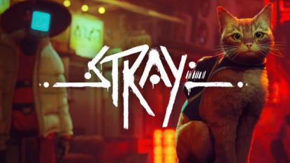 Stray system requirements