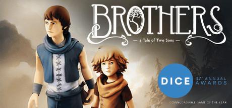 Brothers: A Tale of Two Sons cover