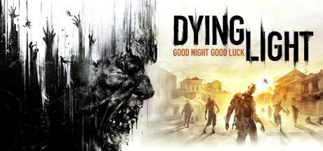 Dying Light cover