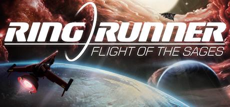 Ring Runner: Flight of the Sages cover