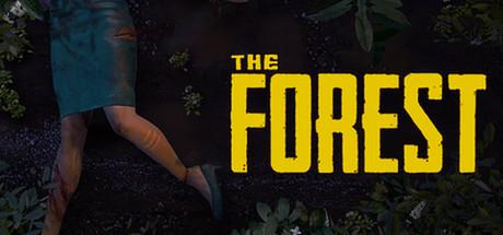 Pode rodar o jogo The Forest?