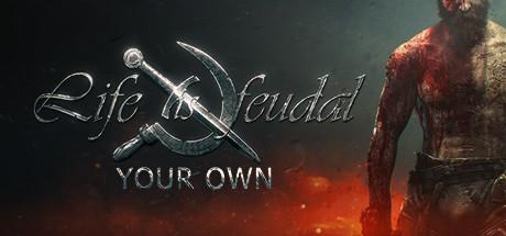 Life is Feudal: Your Own cover