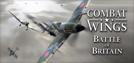 Combat Wings cover