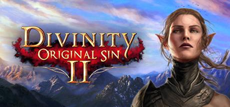 Divinity: Original Sin 2 cover