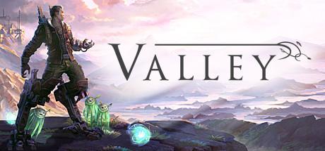 Valley cover