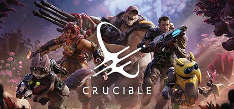 Crucible cover