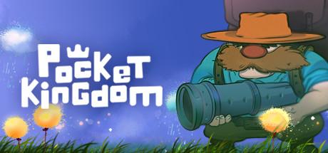 Pocket Kingdom cover