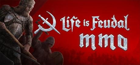 Life is Feudal: MMO cover