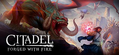 Citadel: Forged with Fire cover