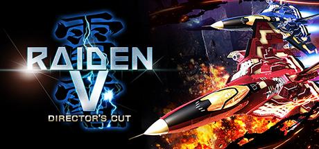 Raiden V: Director's Cut cover