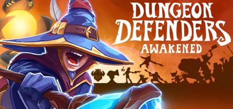 Dungeon Defenders: Awakened cover