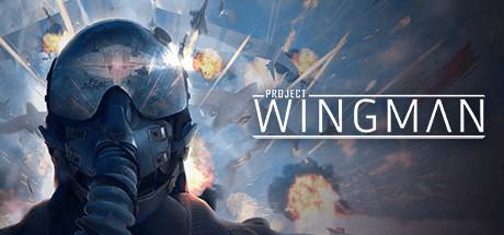 Project Wingman cover