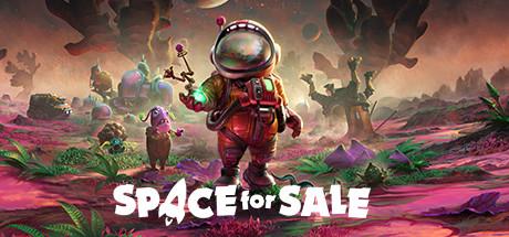 Space for Sale cover