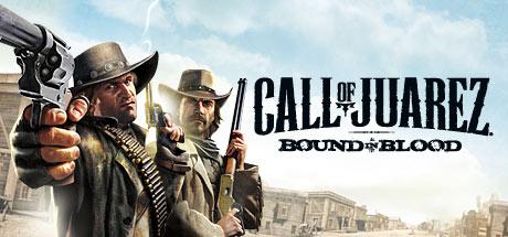 Call of Juarez: Bound in Blood cover