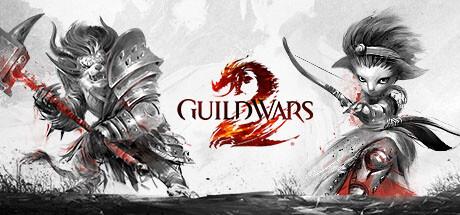 Guild Wars 2 cover